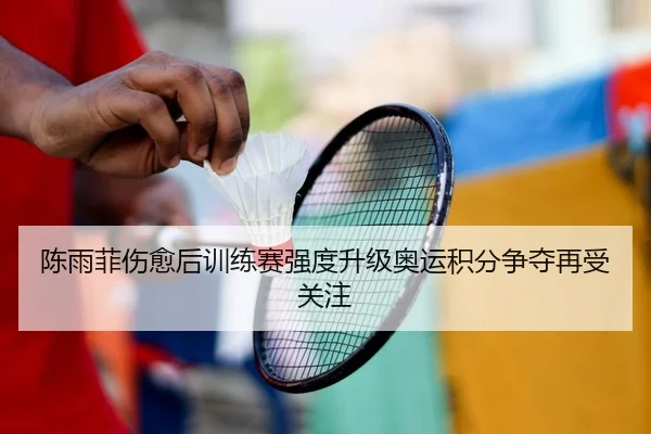 陈雨菲伤愈后训练赛强度升级奥运积分争夺再受关注