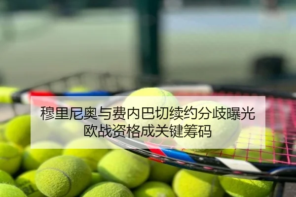 穆里尼奥与费内巴切续约分歧曝光 欧战资格成关键筹码
