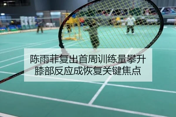 陈雨菲复出首周训练量攀升 膝部反应成恢复关键焦点